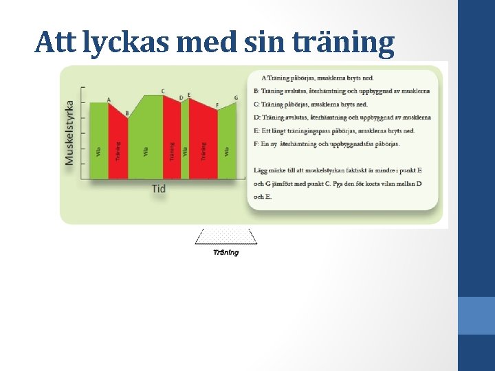 Att lyckas med sin träning 