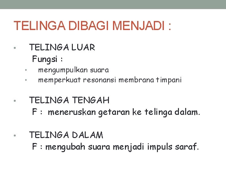 TELINGA DIBAGI MENJADI : TELINGA LUAR Fungsi : • • • mengumpulkan suara memperkuat