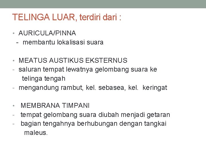 TELINGA LUAR, terdiri dari : • AURICULA/PINNA - membantu lokalisasi suara • MEATUS AUSTIKUS