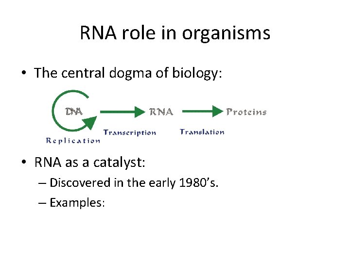 RNA role in organisms • The central dogma of biology: • RNA as a