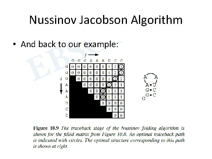 Nussinov Jacobson Algorithm • And back to our example: 