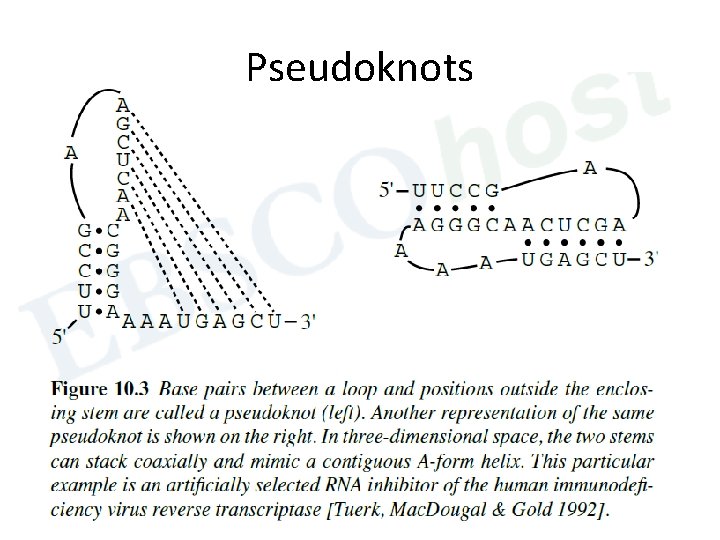 Pseudoknots 