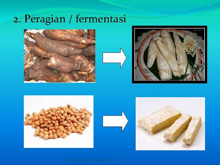 2. Peragian / fermentasi www. gururakyat. blogspot. co. id 