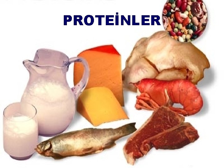 PROTEİNLER 