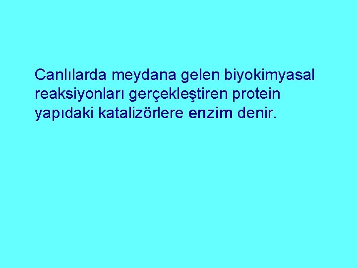 Canlılarda meydana gelen biyokimyasal reaksiyonları gerçekleştiren protein yapıdaki katalizörlere enzim denir. 