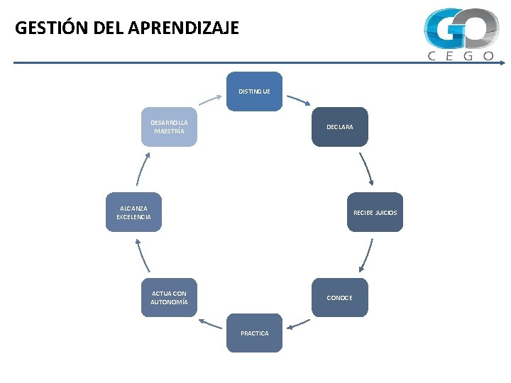 GESTIÓN DEL APRENDIZAJE DISTINGUE DESARROLLA MAESTRÍA DECLARA ALCANZA EXCELENCIA RECIBE JUICIOS ACTUA CON AUTONOMÍA