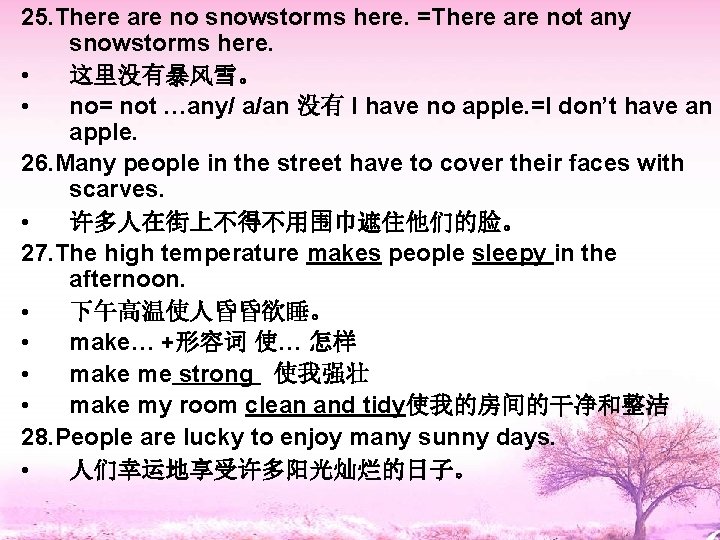 25. There are no snowstorms here. =There are not any snowstorms here. • 这里没有暴风雪。