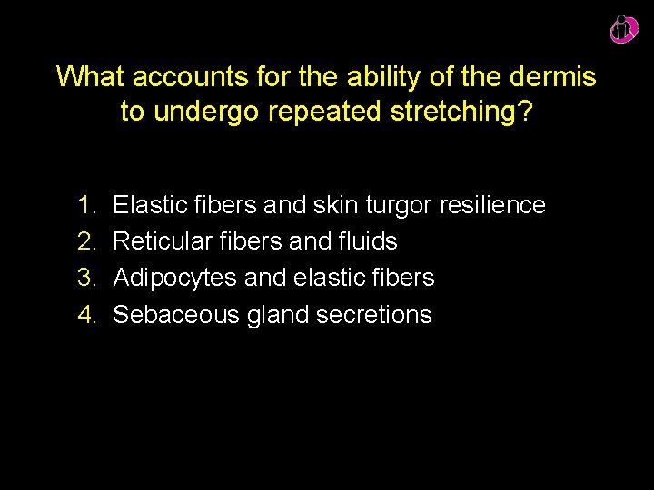 What accounts for the ability of the dermis to undergo repeated stretching? 1. 2.