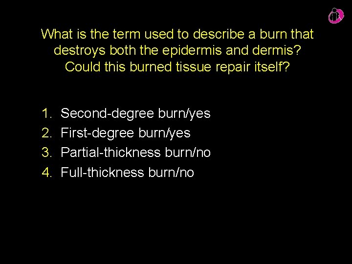 What is the term used to describe a burn that destroys both the epidermis