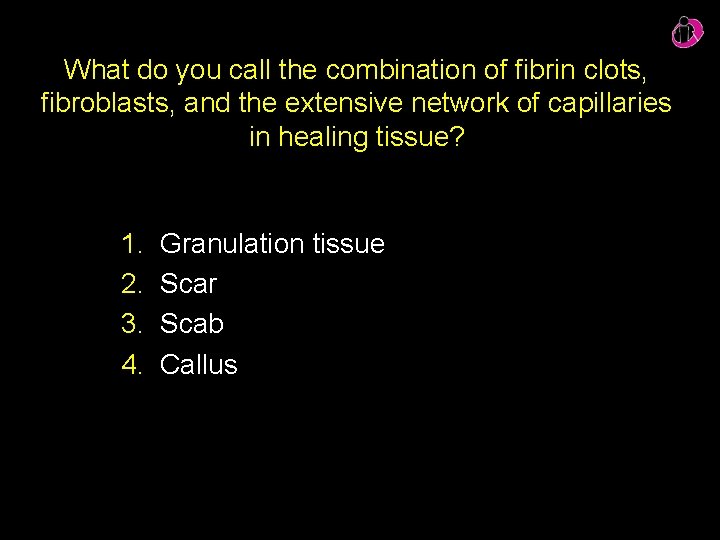 What do you call the combination of fibrin clots, fibroblasts, and the extensive network