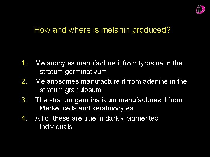 How and where is melanin produced? 1. 2. 3. 4. Melanocytes manufacture it from