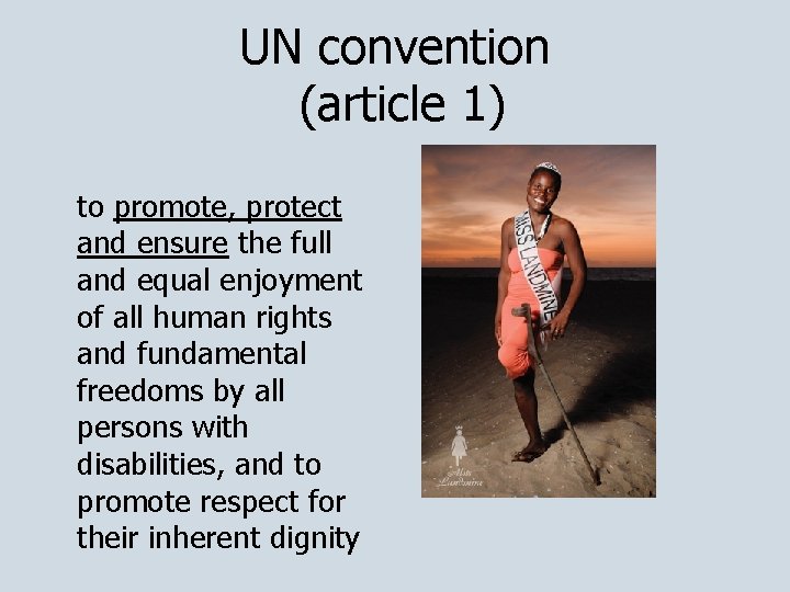 UN convention (article 1) to promote, protect and ensure the full and equal enjoyment