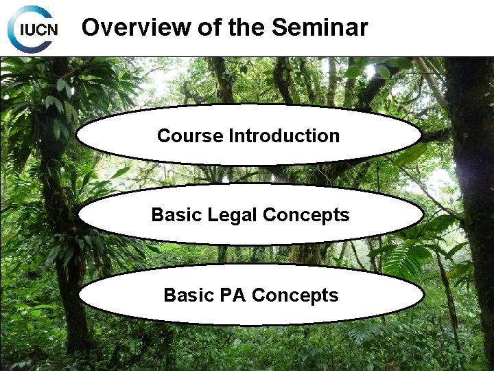 Overview of the Seminar Course Introduction Basic Legal Concepts Basic PA Concepts 