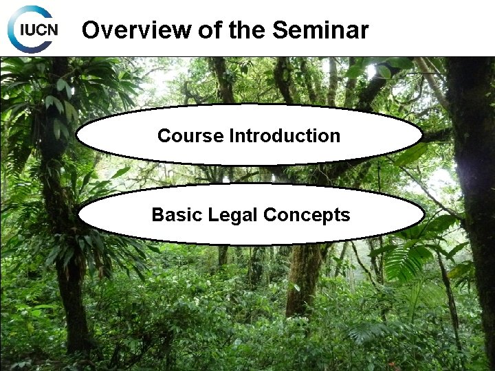 Overview of the Seminar Course Introduction Basic Legal Concepts 