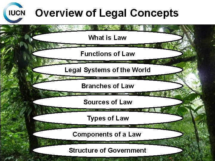 Overview of Legal Concepts What is Law Functions of Law Legal Systems of the