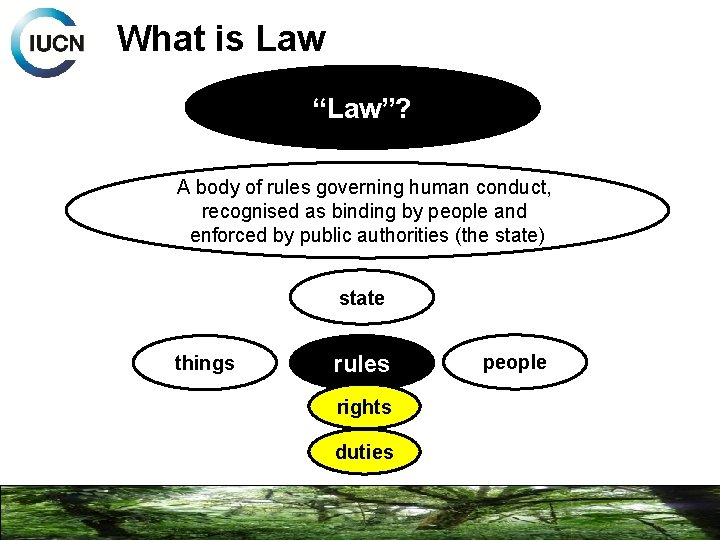 What is Law “Law”? A body of rules governing human conduct, recognised as binding