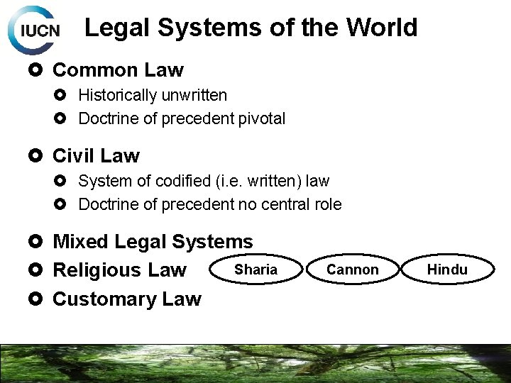 Legal Systems of the World Common Law Historically unwritten Doctrine of precedent pivotal Civil