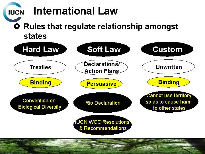 International Law Rules that regulate relationship amongst states Hard Law Soft Law Custom Treaties