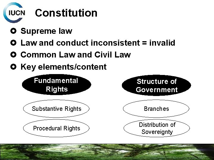 Constitution Supreme law Law and conduct inconsistent = invalid Common Law and Civil Law