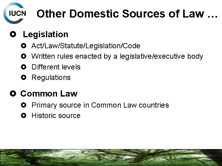 Other Domestic Sources of Law … Legislation Act/Law/Statute/Legislation/Code Written rules enacted by a legislative/executive