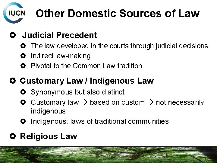 Other Domestic Sources of Law Judicial Precedent The law developed in the courts through