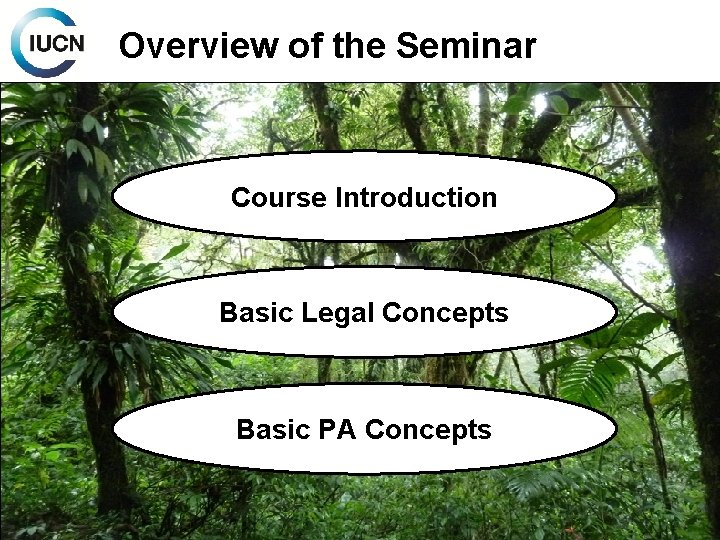 Overview of the Seminar Course Introduction Basic Legal Concepts Basic PA Concepts 