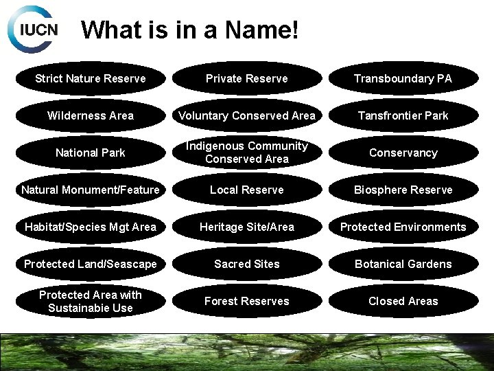 What is in a Name! Strict Nature Reserve Private Reserve Transboundary PA Wilderness Area