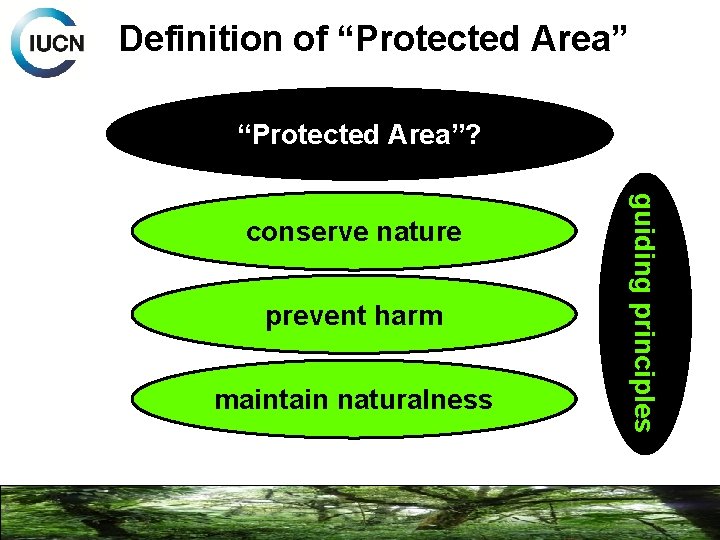 Definition of “Protected Area”? prevent harm maintain naturalness guiding principles conserve nature 