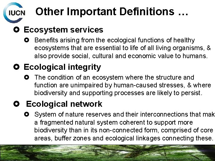 Other Important Definitions … Ecosystem services Benefits arising from the ecological functions of healthy