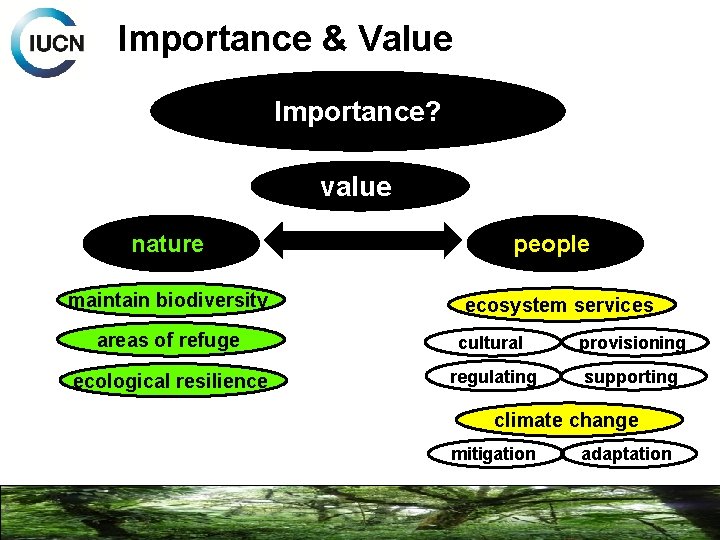 Importance & Value Importance? value nature maintain biodiversity people ecosystem services areas of refuge