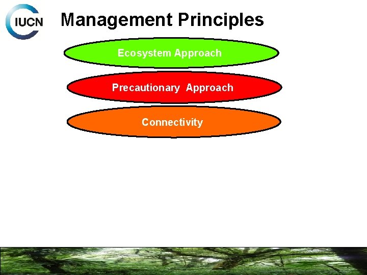 Management Principles Ecosystem Approach Precautionary Approach Connectivity 