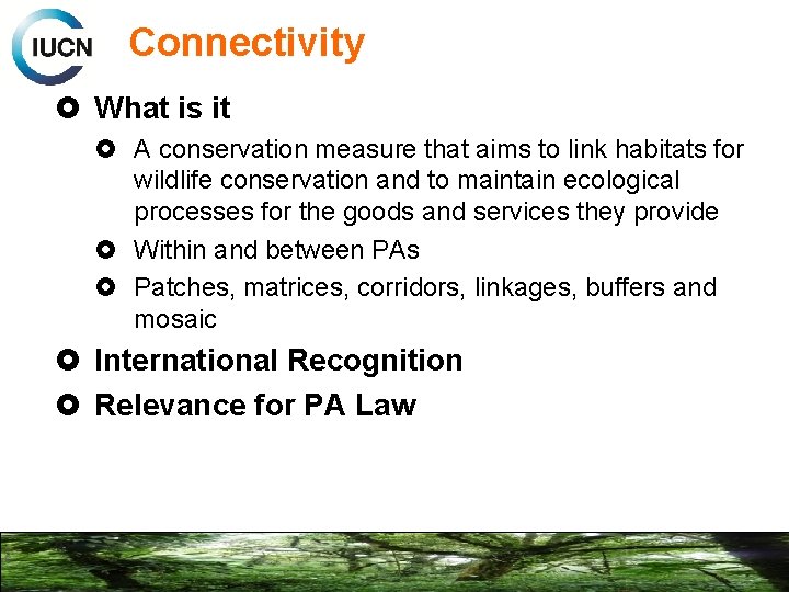 Connectivity What is it A conservation measure that aims to link habitats for wildlife