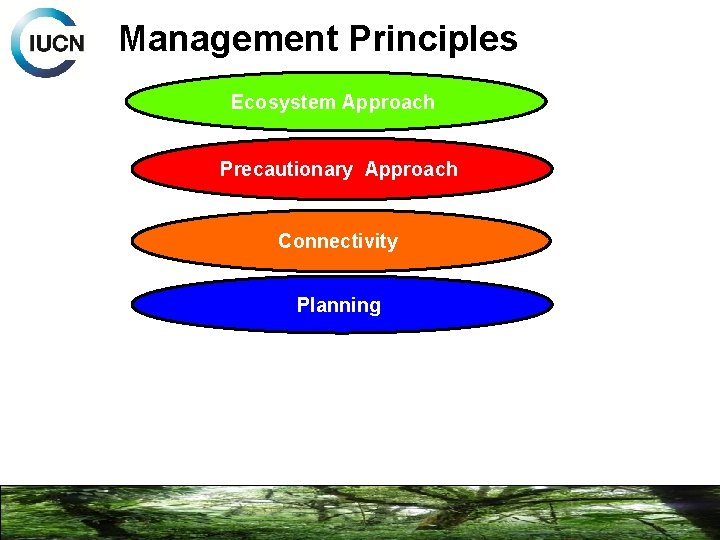 Management Principles Ecosystem Approach Precautionary Approach Connectivity Planning 