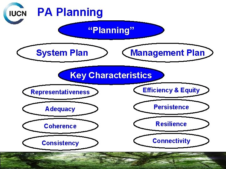 PA Planning “Planning” System Plan Management Plan Key Characteristics Representativeness Efficiency & Equity Adequacy