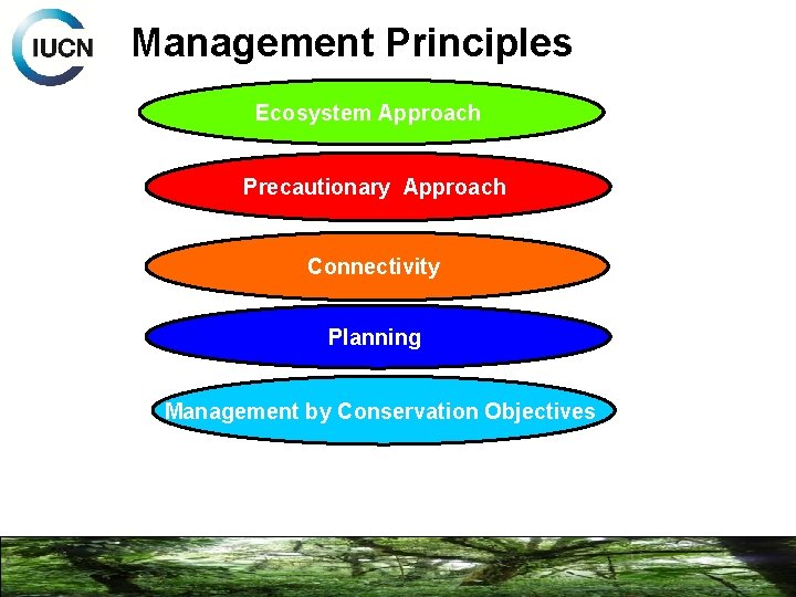 Management Principles Ecosystem Approach Precautionary Approach Connectivity Planning Management by Conservation Objectives 