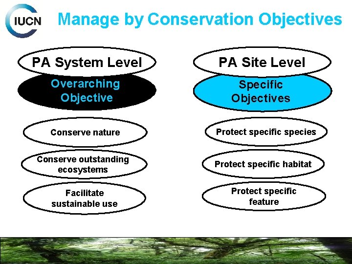 Manage by Conservation Objectives PA System Level PA Site Level Overarching Objective Specific Objectives