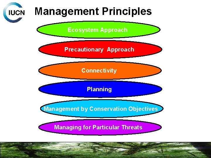Management Principles Ecosystem Approach Precautionary Approach Connectivity Planning Management by Conservation Objectives Managing for