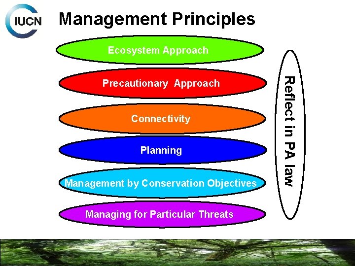Management Principles Ecosystem Approach Connectivity Planning Management by Conservation Objectives Managing for Particular Threats