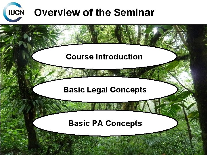 Overview of the Seminar Course Introduction Basic Legal Concepts Basic PA Concepts 