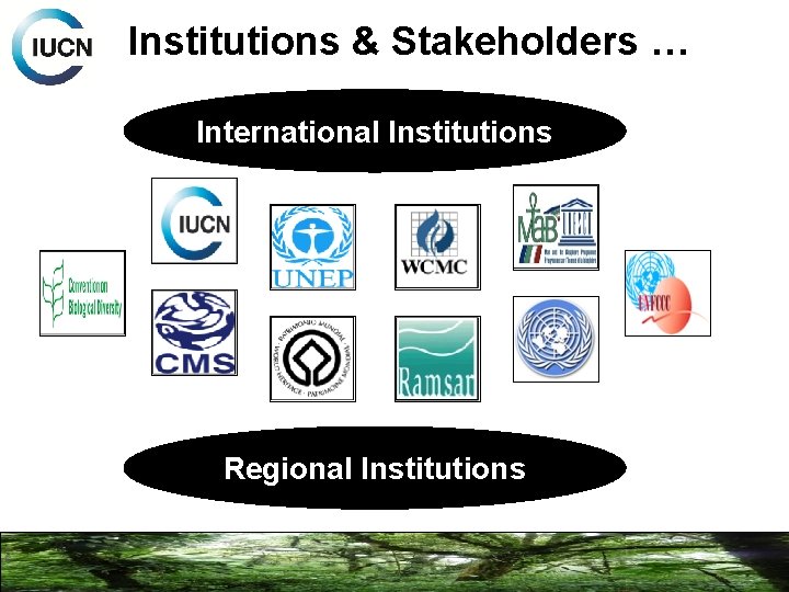 Institutions & Stakeholders … International Institutions Regional Institutions 