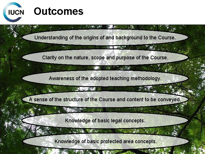Outcomes Understanding of the origins of and background to the Course. Clarity on the