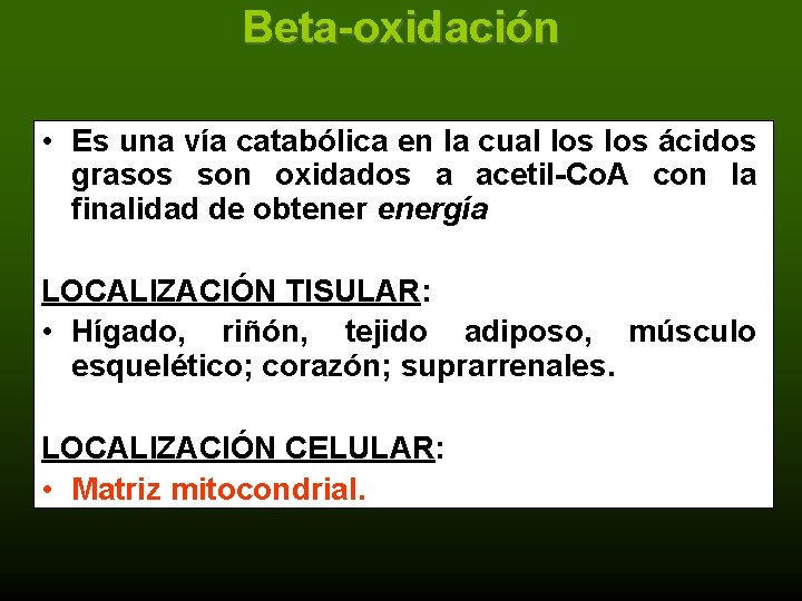 Beta-oxidación • Es una vía catabólica en la cual los ácidos grasos son oxidados