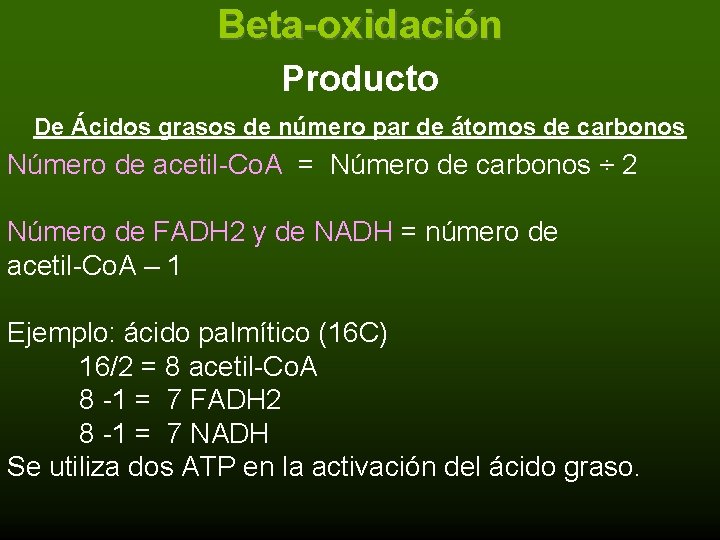 Beta-oxidación Producto De Ácidos grasos de número par de átomos de carbonos Número de