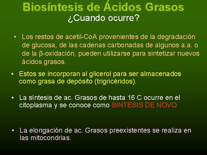 Biosíntesis de Ácidos Grasos ¿Cuando ocurre? • Los restos de acetil-Co. A provenientes de