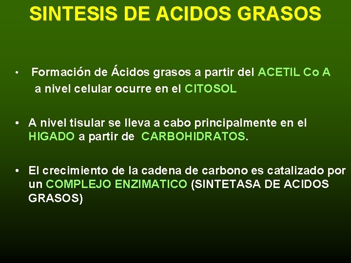 SINTESIS DE ACIDOS GRASOS • Formación de Ácidos grasos a partir del ACETIL Co