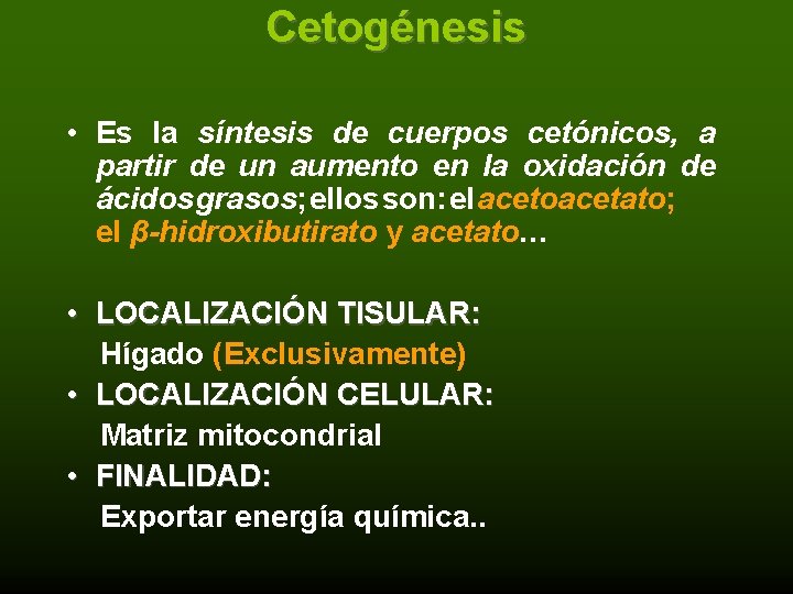 Cetogénesis • Es la síntesis de cuerpos cetónicos, a partir de un aumento en