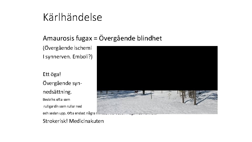 Kärlhändelse Amaurosis fugax = Övergående blindhet (Övergående ischemi I synnerven. Emboli? ) Ett öga!