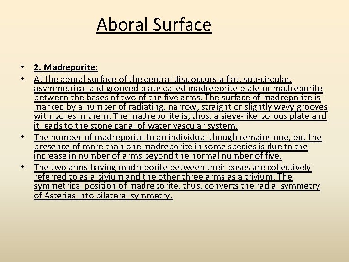 Aboral Surface • 2. Madreporite: • At the aboral surface of the central disc