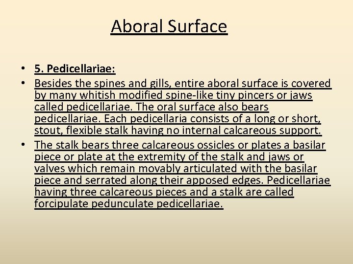 Aboral Surface • 5. Pedicellariae: • Besides the spines and gills, entire aboral surface