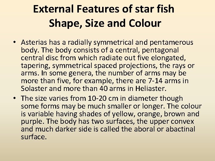 External Features of star fish Shape, Size and Colour • Asterias has a radially
